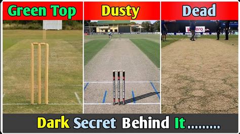 5 Different Types of Cricket Pitch Use in International Cricket🔥|| Cricket Pitch Full Details👌😎 ...