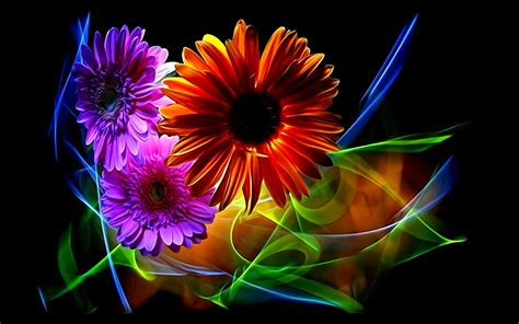 #flowers #abstraction #rendering #petals black background #gerbera #picture neon light floral ...