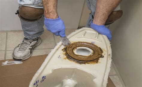 3 Signs It's Time to Replace Your Toilet Wax Ring | The Pink Plumber