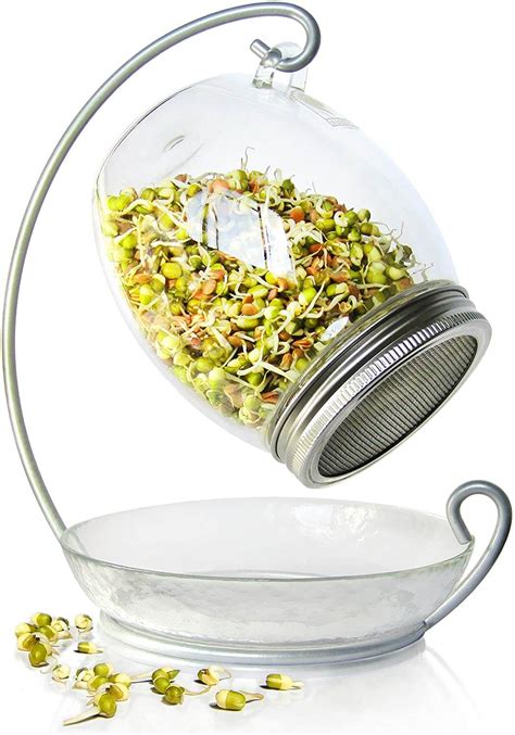 7 Best Sprouting Jars to Grow Sprouts in Your Kitchen - Microgreenology ...