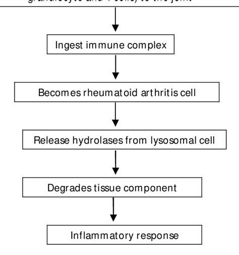 [PDF] Rheumatoid Arthritis Pathophysiology, Animal Models and Herbal ...