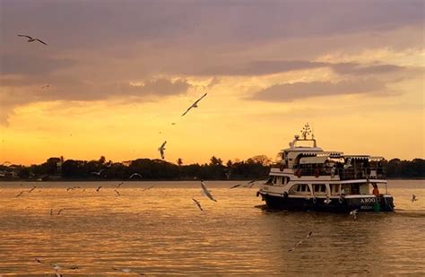 Dora River Cruise - Amazing Yangon River Sunset Cruise 2020