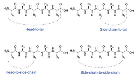 FDA Approved Cyclic Peptide Drugs