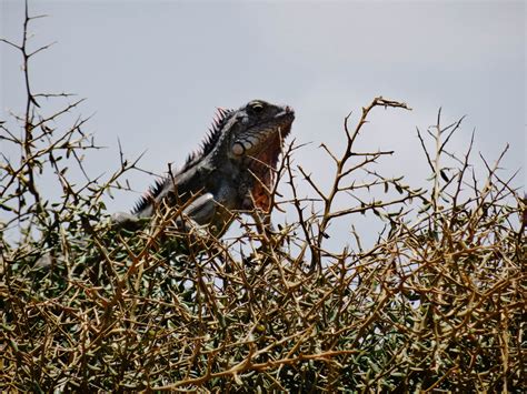 A City A Story | Travel article: La Guajira