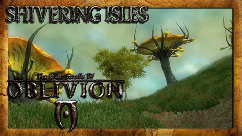 Was da los.. | Shivering Isles DLC #73 🏹 TES IV: Oblivion | Let's Play The Elder Scrolls IV ...
