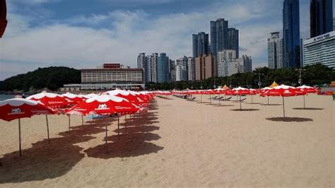 Book Haeundae Grand Hotel, Busan, South Korea - Hotels.com