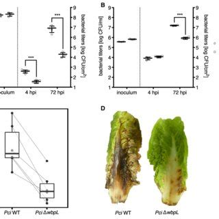 Infection experiments with Pseudomonas syringae pv. tomato DC3000 (Pst)... | Download Scientific ...