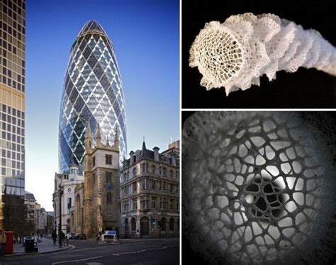 10 Stunning examples of Biomimicry in Architecture - RTF | Rethinking The Future