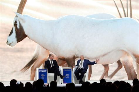 Davos 2019: Here's all that has been happening at the WEF's Annual ...