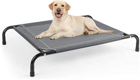 Elevated Dog Bed - Comfortable and Durable