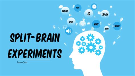 Split-Brain Experiment by Zara Clark on Prezi