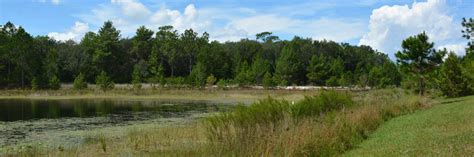 Horseshoe Lake Park now thrives – Florida Hikes