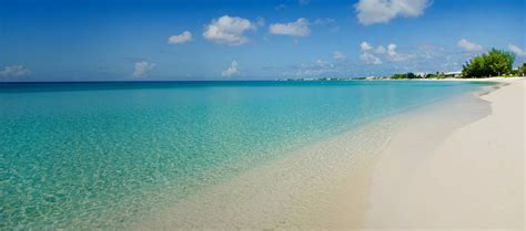 Best Boutique hotels in Grand Cayman, Cayman Islands | Kimpton Hotels