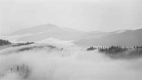 Wallpaper Romania, Rarău, Foggy, Clean, Clear, White, Bw | Sfondi ...