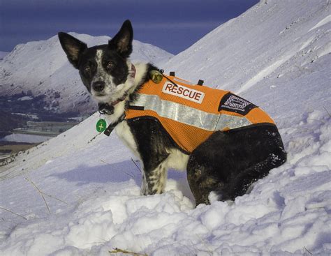 Impromptu avalanche training (Video) – Lake District Mountain Rescue ...