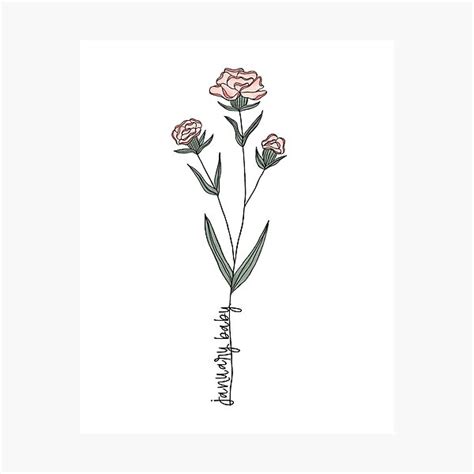 "January Baby Birth Month Flower | Carnation | Color" Photographic Print for Sale by ekwdesigns ...