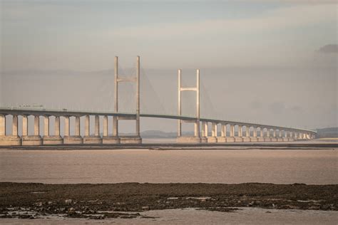 14th October 2020 – Severn Estuary – Martin's Bird Blog & Nature Photos