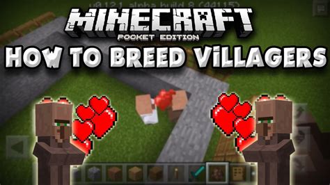 How do you make a villager breeder in Minecraft PE? - Rankiing Wiki : Facts, Films, Séries ...