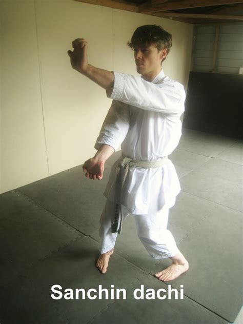 Rein Karate Academy: Karate Stances with Pictures