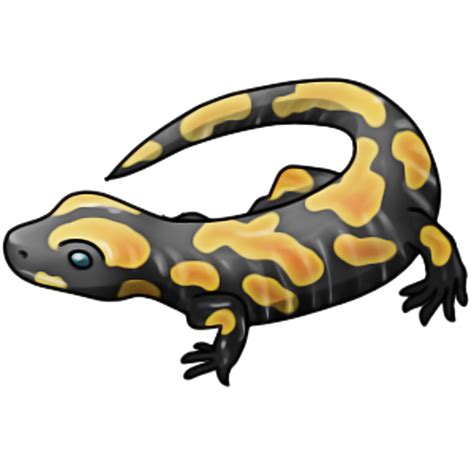 Salamander Clip Art Clipart Salamander Newt Clip Art Newt Clipart | The ...