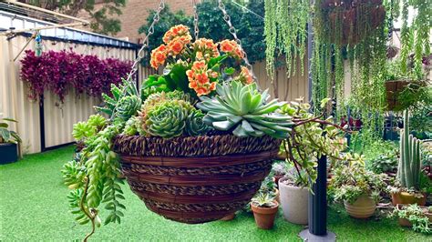 Succulent Hanging Basket - YouTube