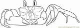 Crab Coloring Page For Kids  Free Printable Pages Online sketch template