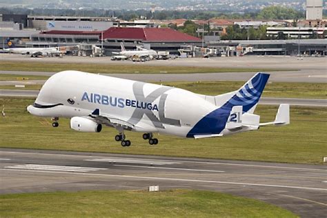 Airbus' Second Beluga XL Enters Service - Simple Flying