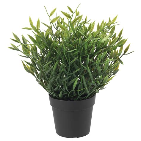 FEJKA artificial potted plant in/outdoor House bamboo 9 cm | IKEA Latvija