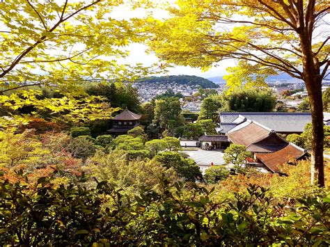 Ginkaku-ji Temple Kyoto at the beginning of fall [OC] | Kyoto, Temple, House styles