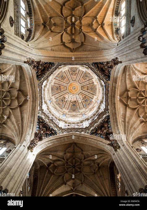 Salamanca Cathedral dome interior Stock Photo - Alamy