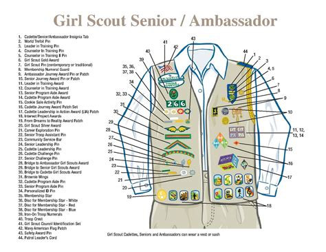 Girl Scout Troop 1905: Cadette Sash and Vest