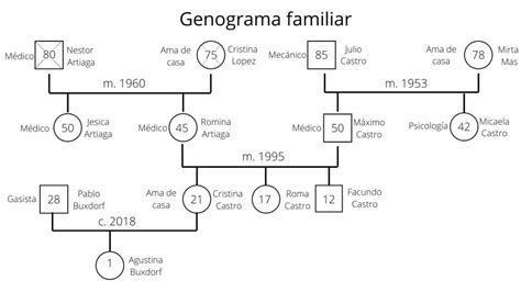 Arbol Genealogico De Tres Generaciones En Genogramas Extendidos Que - Otosection