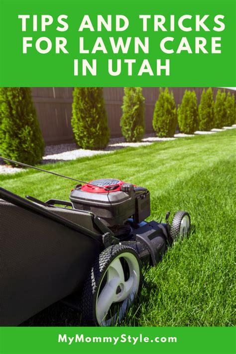 Utah lawn care 101 - My Mommy Style