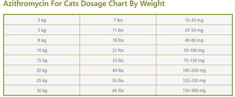 Guide About Azithromycin Dosage For Cats & Chart By Weight