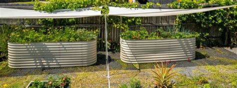 Pros And Cons Of Metal Raised Garden Beds