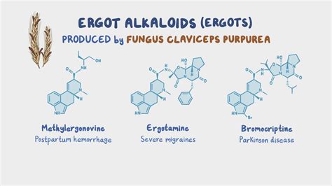 Ergot alkaloids: Nursing pharmacology - Osmosis Video Library