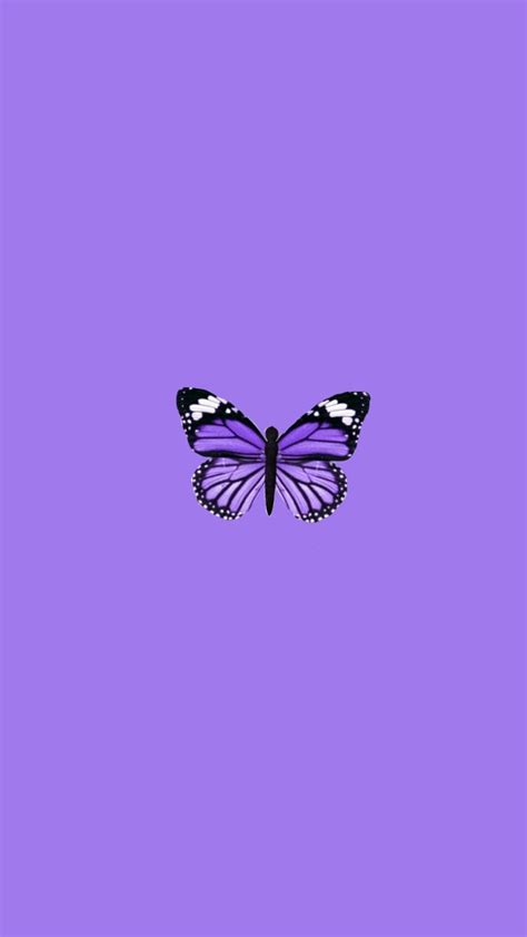 Aesthetic Design Aesthetic Butterfly Cute Purple Butterfly Wallpaper ...