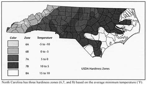 USDA Hardiness zone map for North Carolina | Plant zones, Plants, North ...