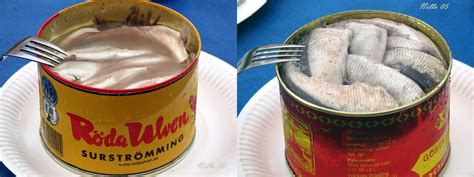 Surströmming/Fermented herring | This two cans have the same… | Flickr