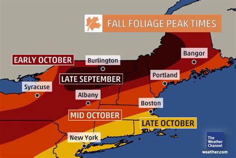 New England foliage map | New england foliage, Foliage map, The weather ...