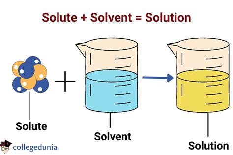 Solvent Examples: List, Types & Uses