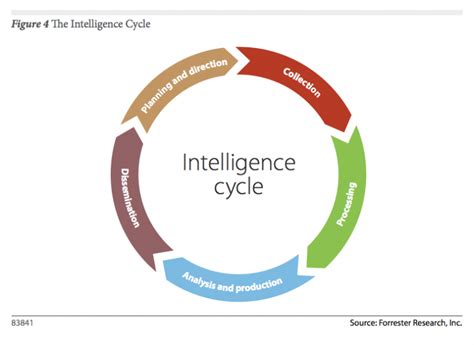 Intelligence Cycle : Intelligence Concepts — F3EAD - Scott J Roberts ...