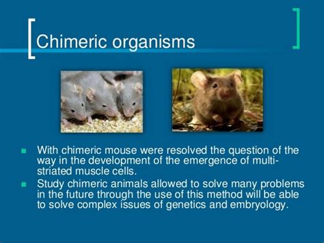 Transgenic and chimeric organisms (GMO)