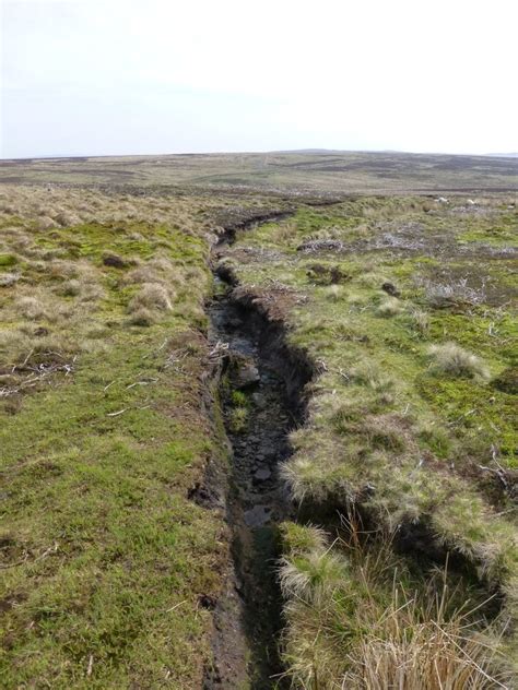 Deep gully formed from drainage ditch © Russel Wills :: Geograph Britain and Ireland