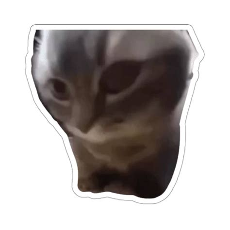 Chipi Chipi Chapa Chapa Cat Sticker | Cat Meme | Tik Tok Meme Sticker ...