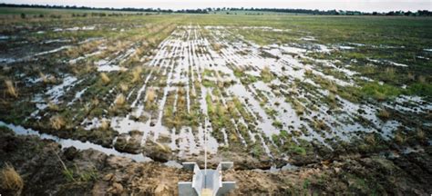 Waterlogging: the science | Agriculture and Food