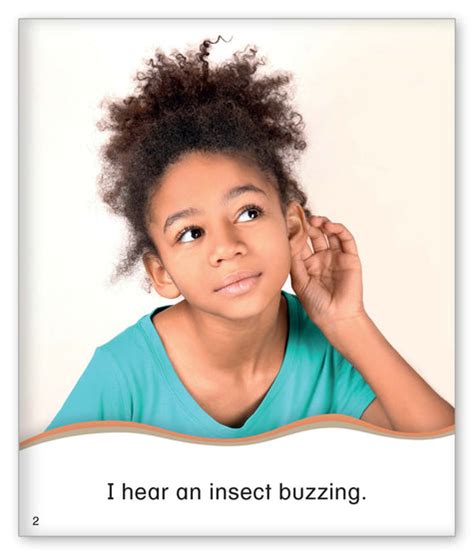 Insects That Buzz - Kid Lit - Hameray Publishing