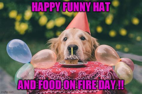 dog birthday Memes - Imgflip