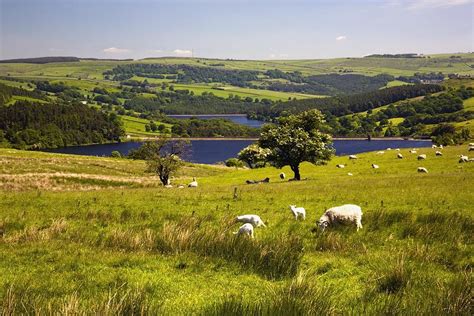 Sheffield, South Yorkshire, England Photograph by John Doornkamp - Fine Art America