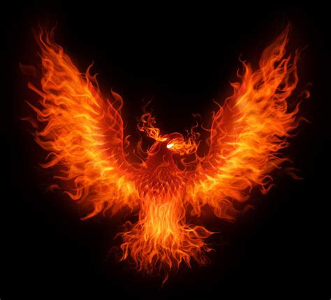 Firebird by superhawkins on DeviantArt